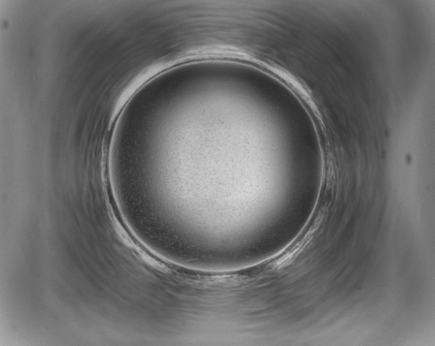 X0000067911390200604171328