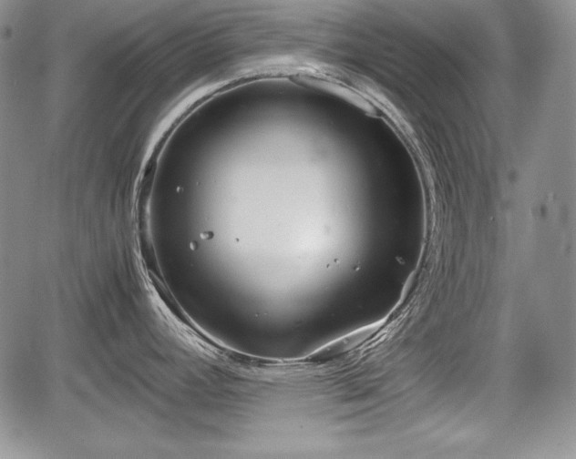 X0000067911392200604171328