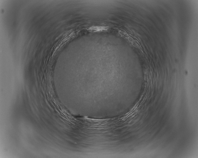 X0000067911393200604171327