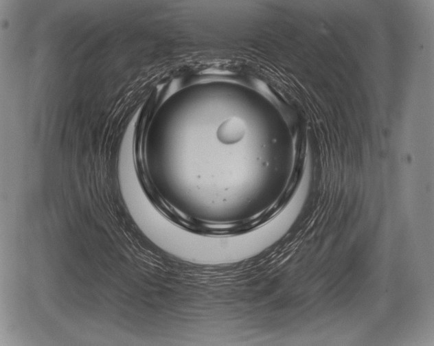 X0000067911394200604171327