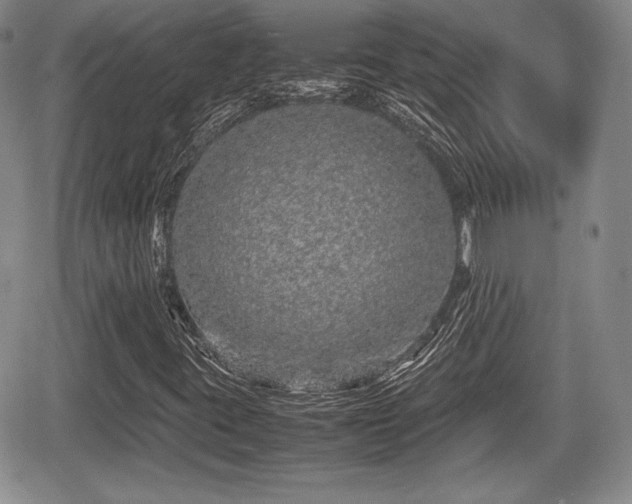 X0000067911395200604171327