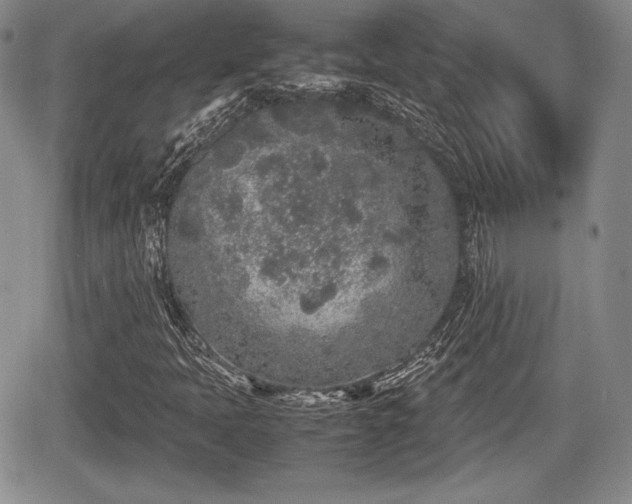 X0000067911397200604171327