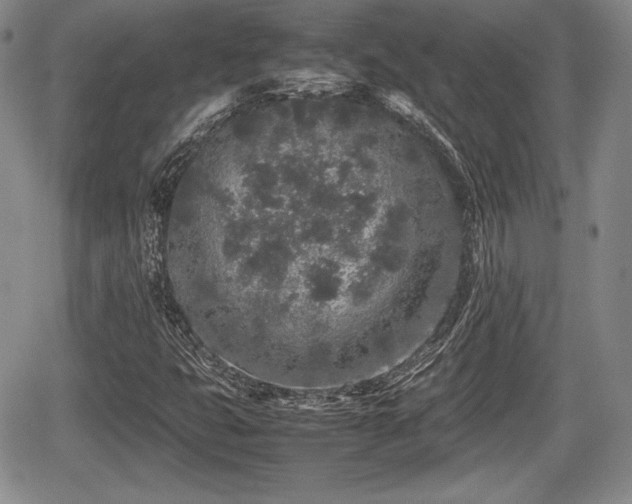 X0000067911399200604171327