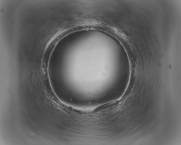 X0000067911400200604171327