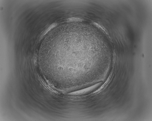 X0000067911401200604171327