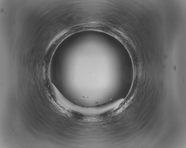 X0000067911402200604171327