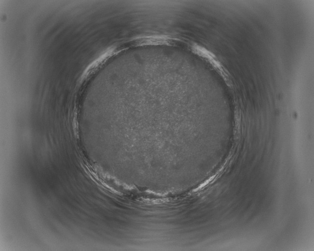 X0000067911403200604171327