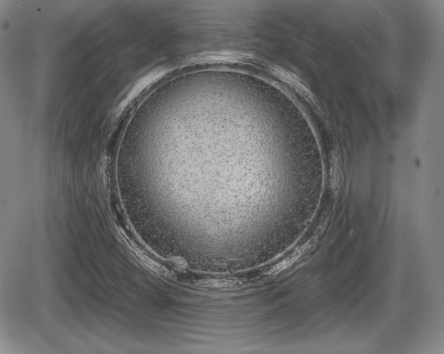 X0000067911404200604171327