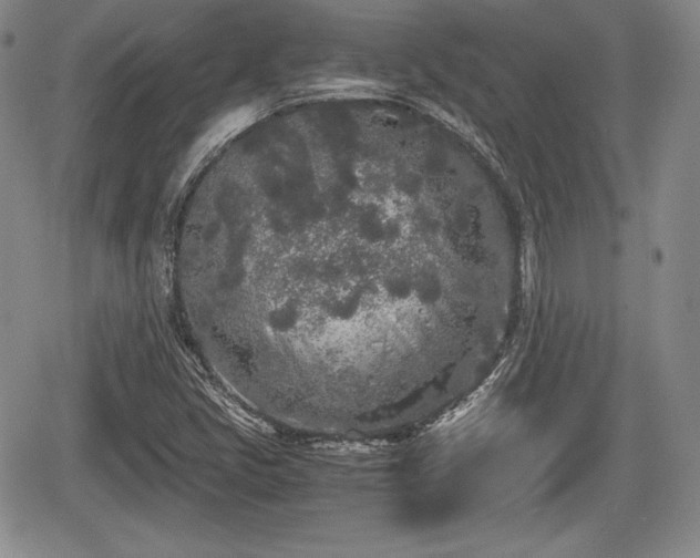 X0000067911405200604171327