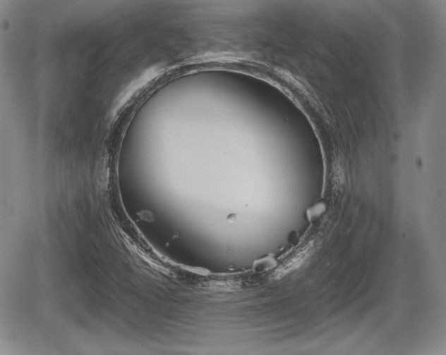 X0000067911406200604171327