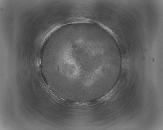 X0000067911407200604171327