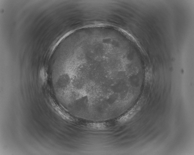 X0000067911409200604171327