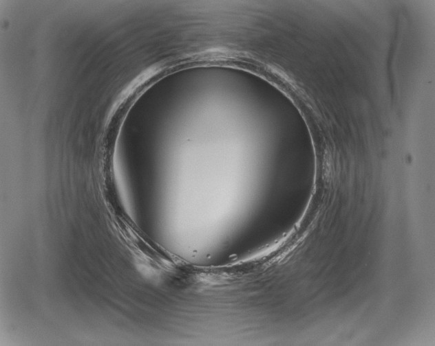 X0000067911410200604171327