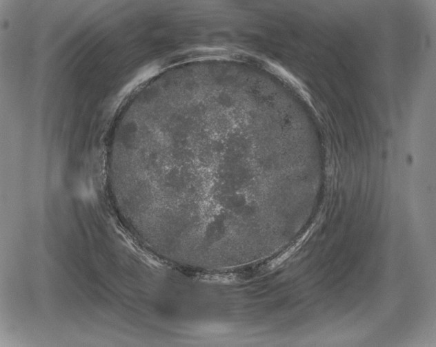 X0000067911411200604171327