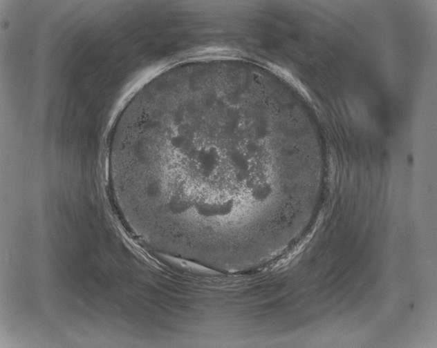 X0000067911413200604171327