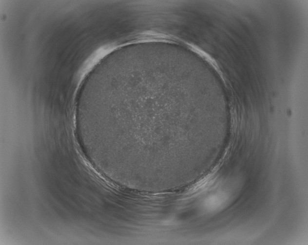 X0000067911415200604171327