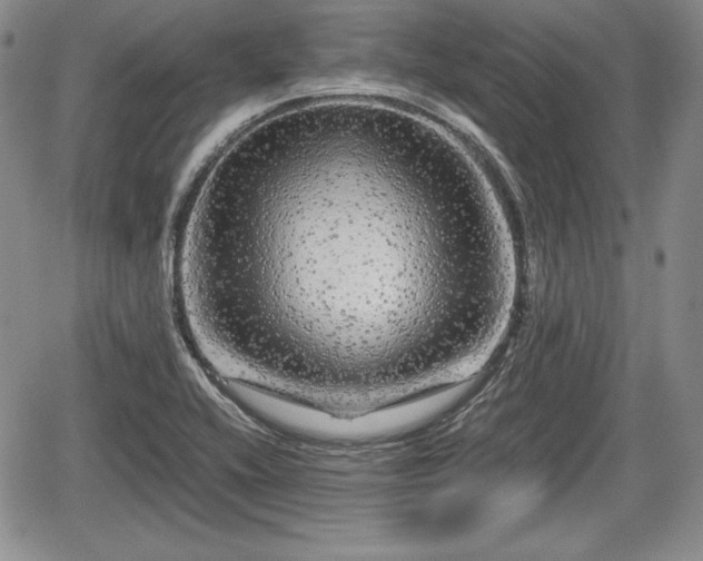 X0000067911416200604171327