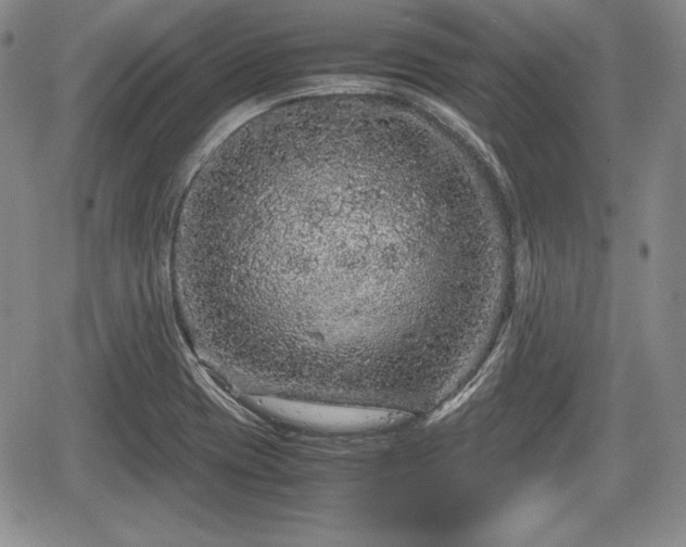 X0000067911417200604171327