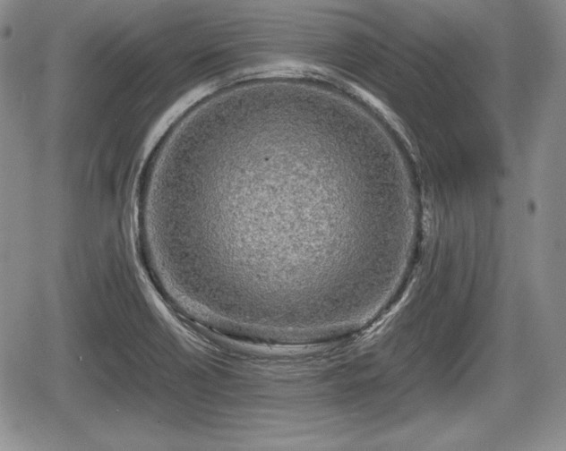 X0000067911418200604171327