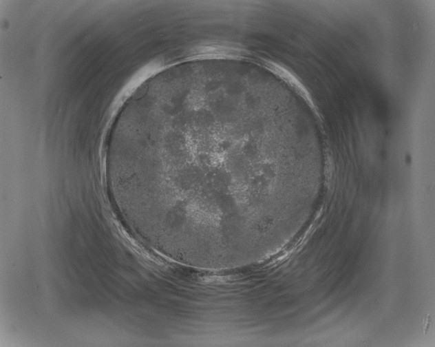 X0000067911419200604171327