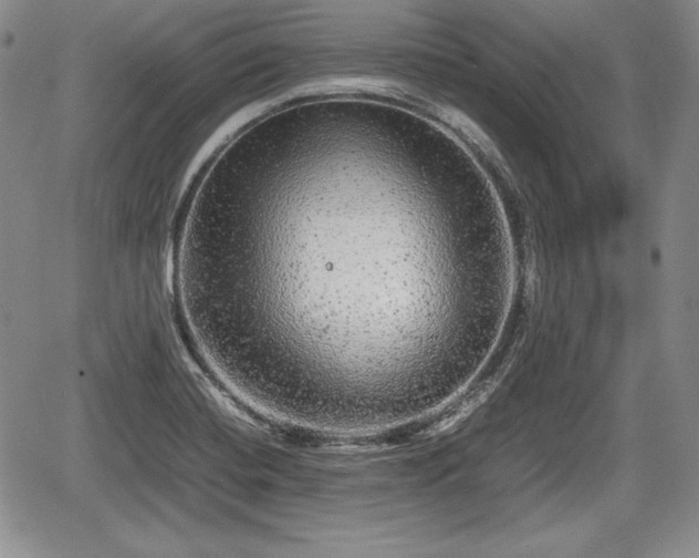 X0000067911420200604171327