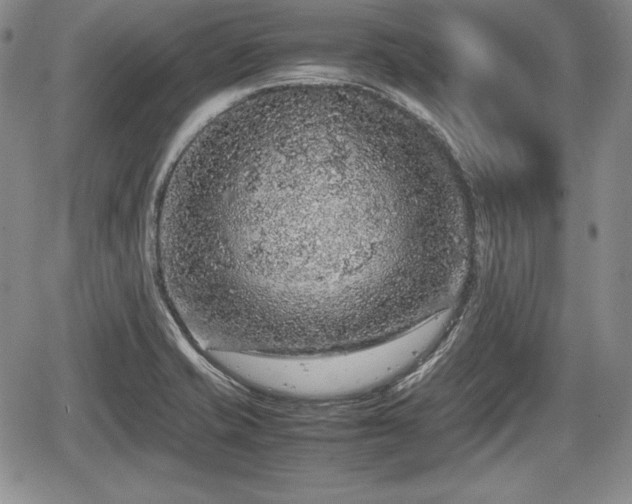 X0000067911421200604171327