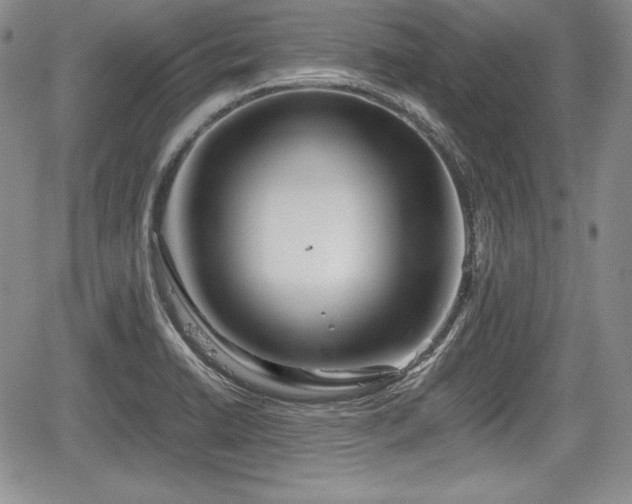 X0000067911422200604171327