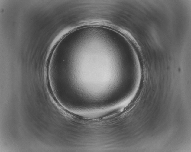 X0000067911424200604171327