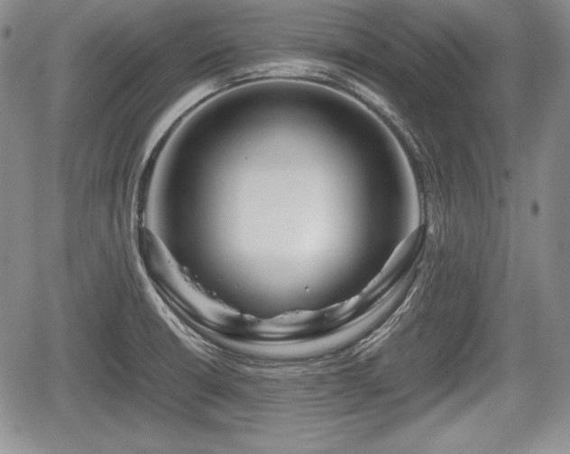 X0000067911426200604171327