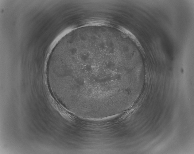 X0000067911427200604171327