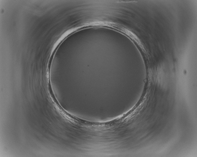 X0000067911428200604171327