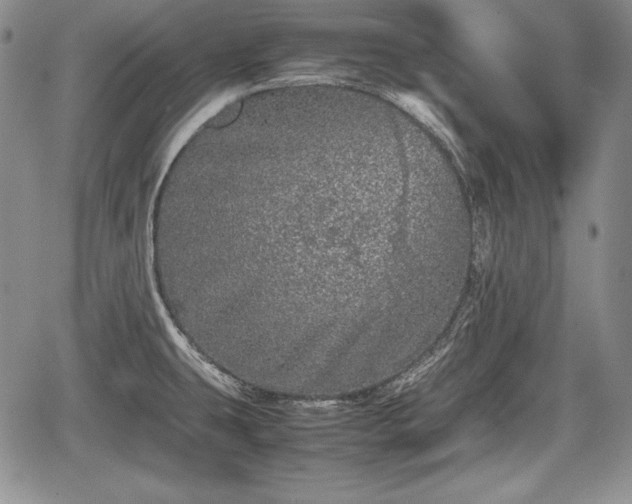 X0000067911431200604171327