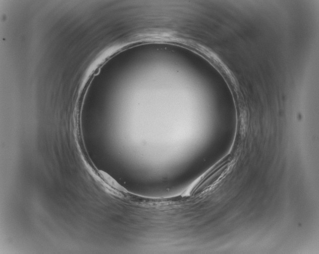 X0000067911432200604171327