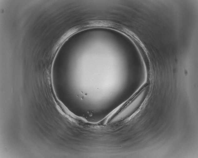 X0000067911433200604171327