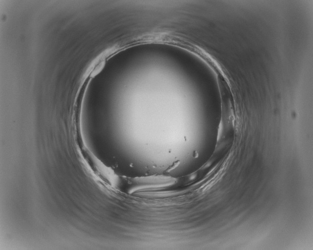 X0000067911434200604171327