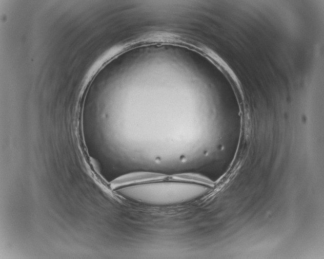 X0000067911437200604171327