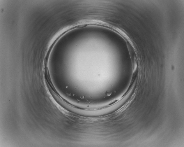 X0000067911438200604171327