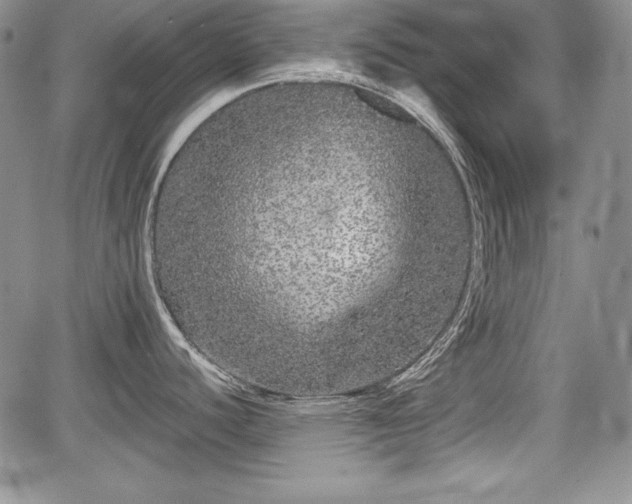 X0000067911440200604171328