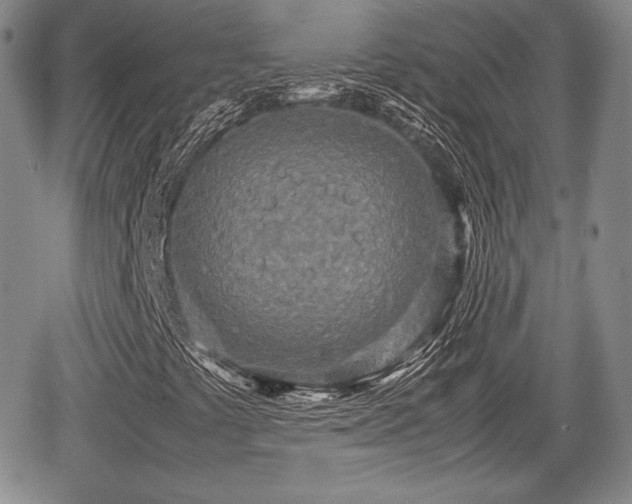 X0000067911441200604171327