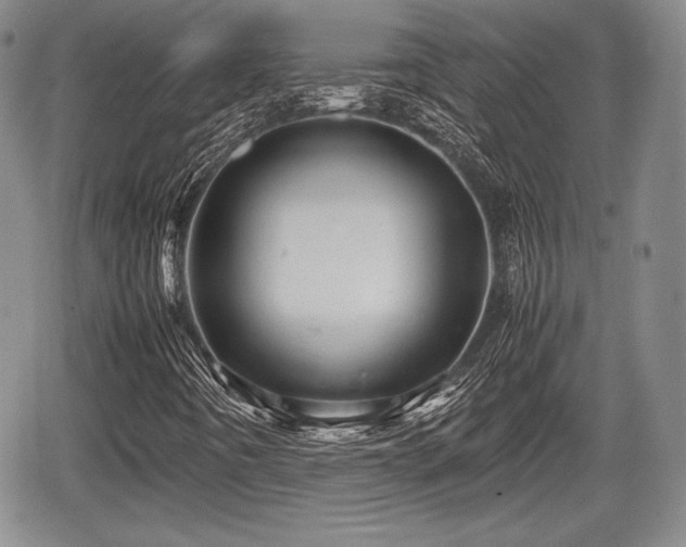 X0000067911442200604171327