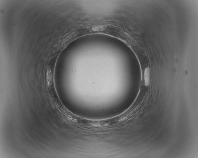 X0000067911443200604171327