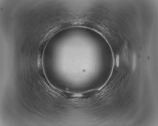 X0000067911444200604171327