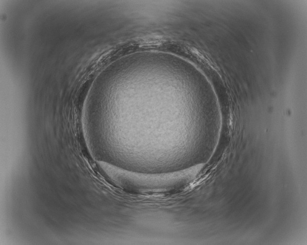 X0000067911445200604171327