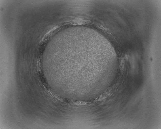 X0000067911446200604171327