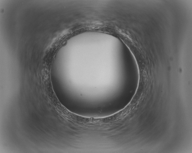 X0000067911447200604171327