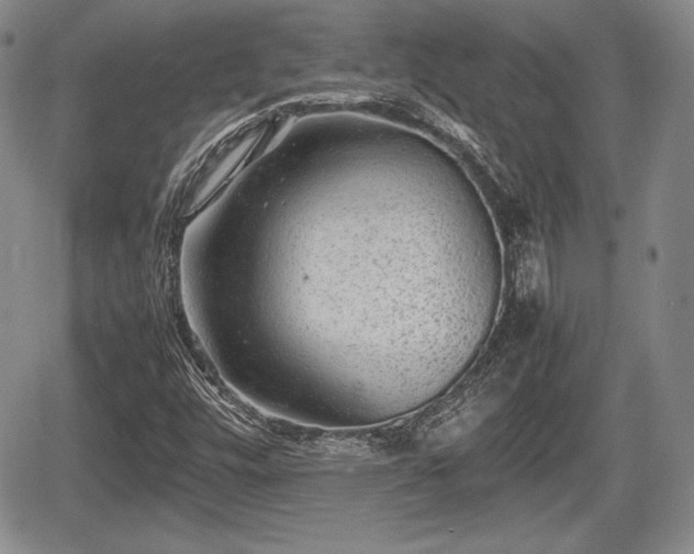 X0000067911448200604171327