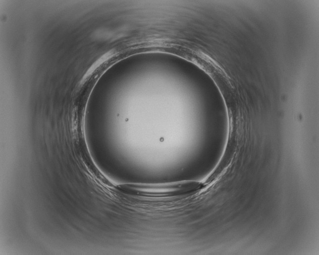 X0000067911450200604171327