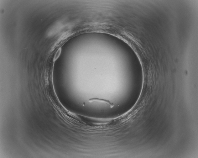 X0000067911451200604171327