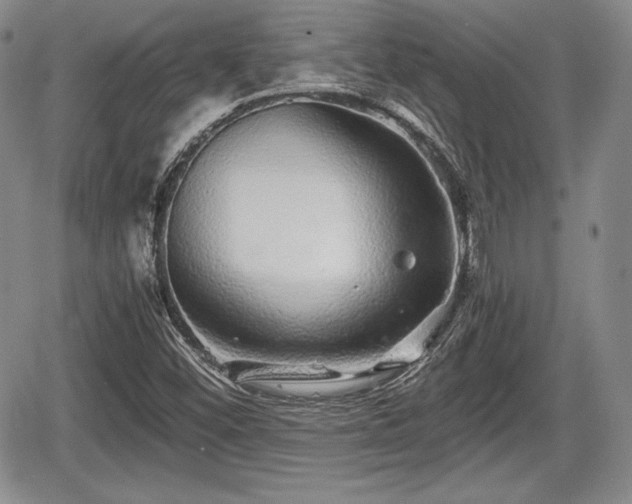 X0000067911452200604171327