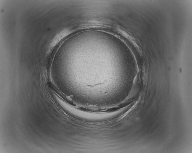 X0000067911453200604171327